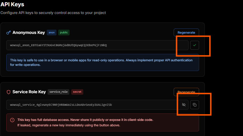 Copy API Key