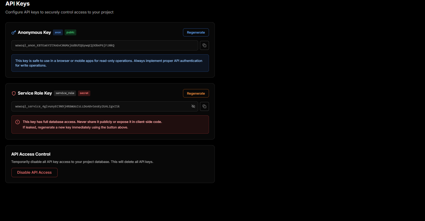 View API Keys